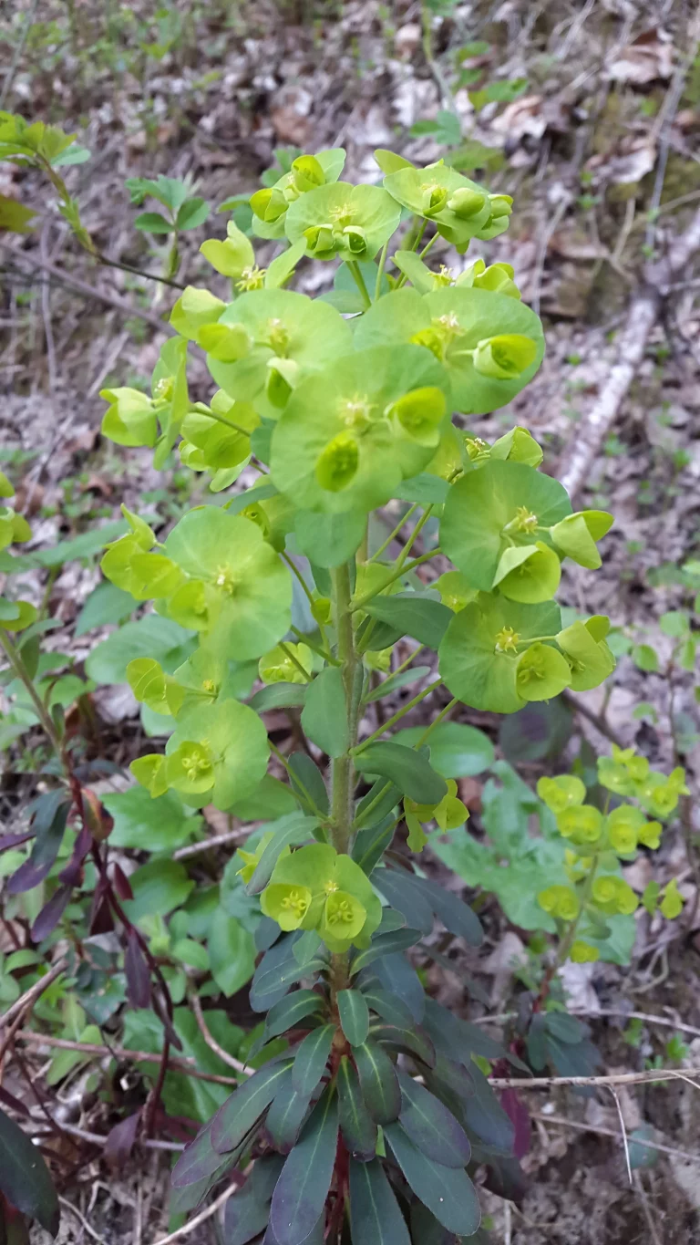 20150412_185141_resultat