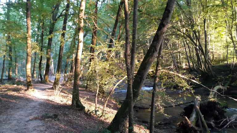 20150930_182918_resultat