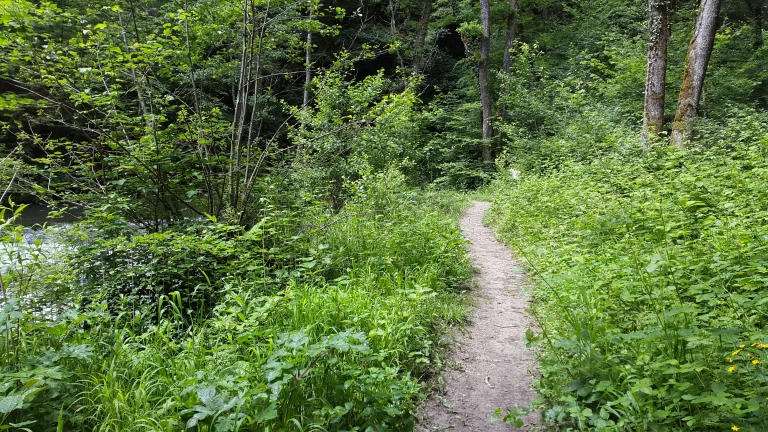 20160615_125429_resultat