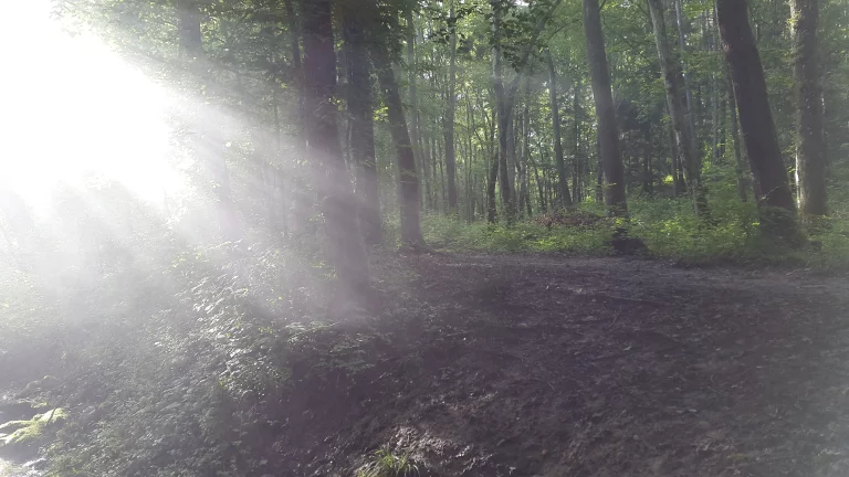 20160621_192341_resultat