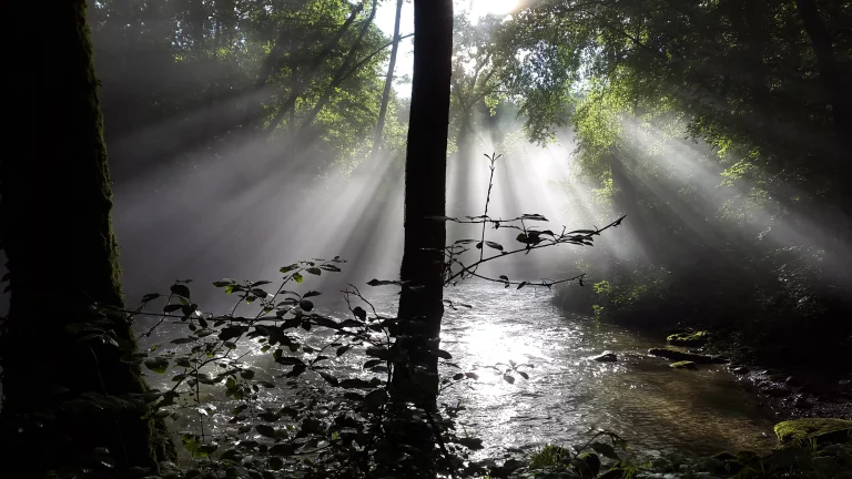 20160621_192452_resultat