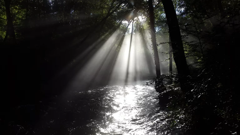 20160621_192559_resultat