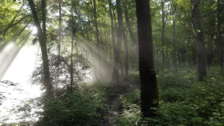 20160621_192842_resultat