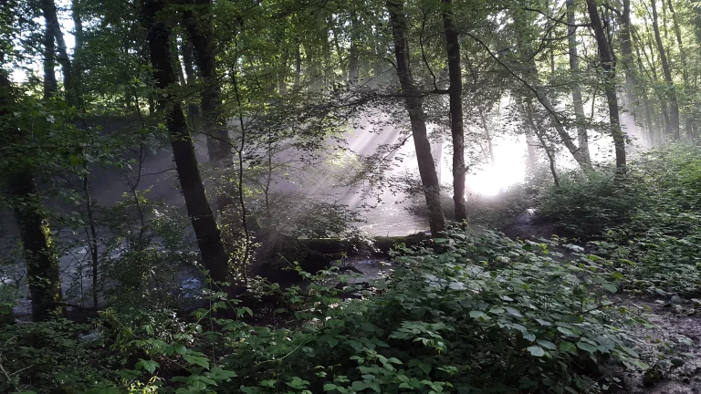 20160621_192917_resultat