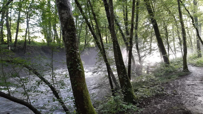 20160621_192947_resultat