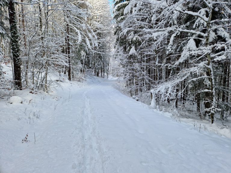 20230117_151611_resultat