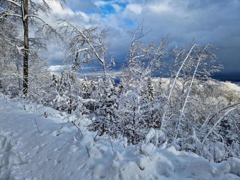 20230117_153135_resultat