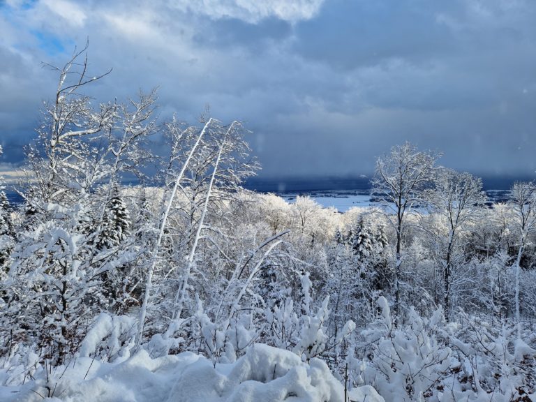 20230117_153136_resultat