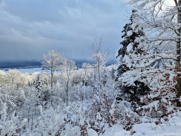 20230117_153138_resultat