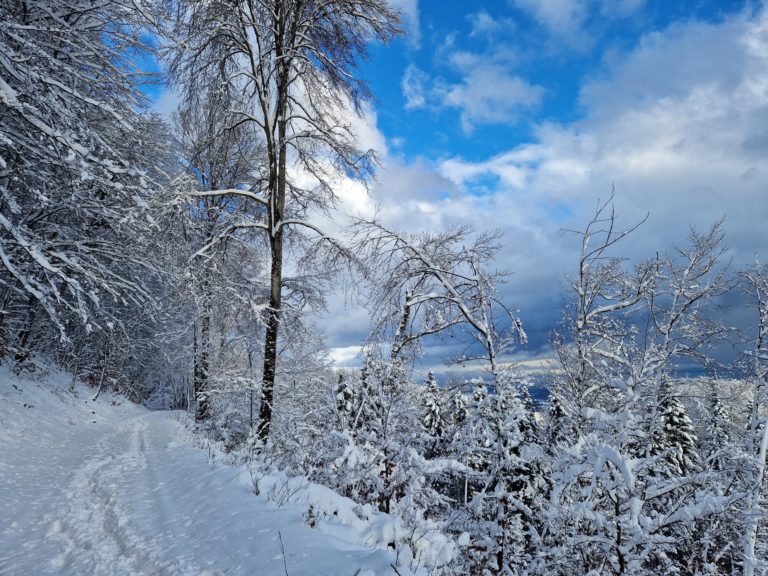 20230117_153147_resultat