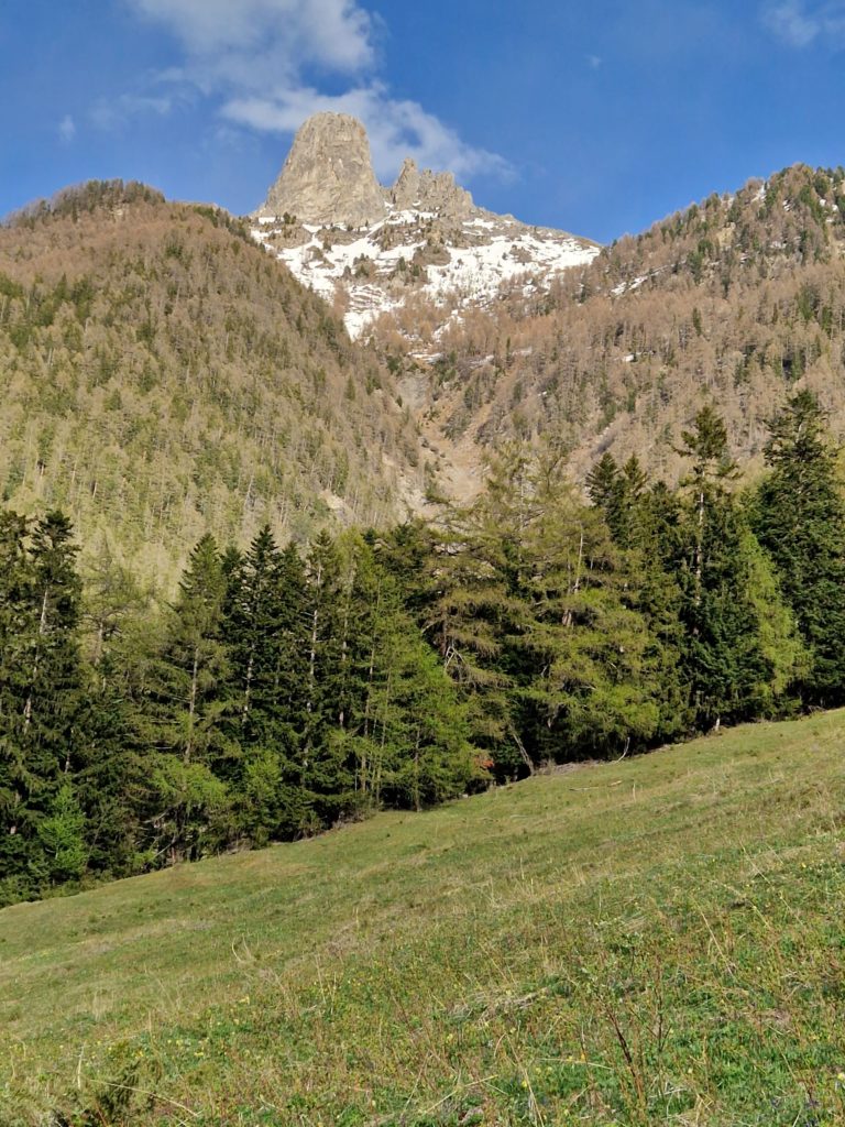 20230506_185232_resultat