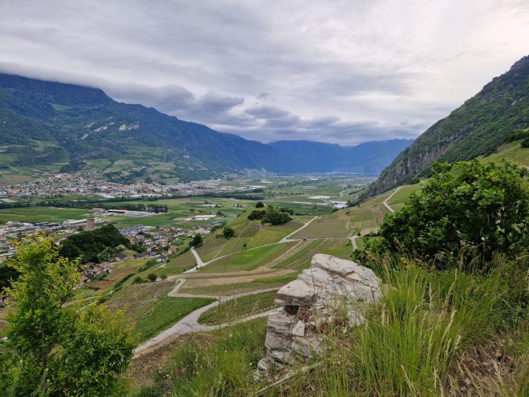 20230517_183243_resultat