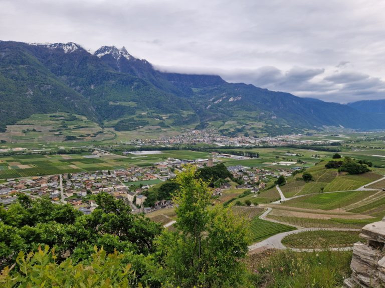 20230517_183246_resultat