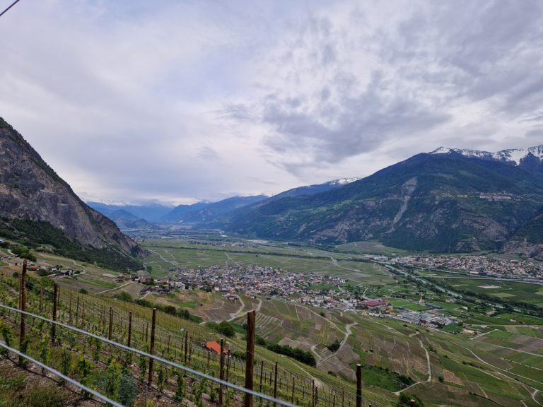 20230517_191016_resultat