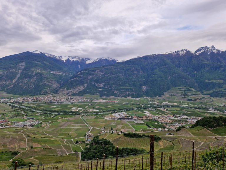 20230517_191018_resultat