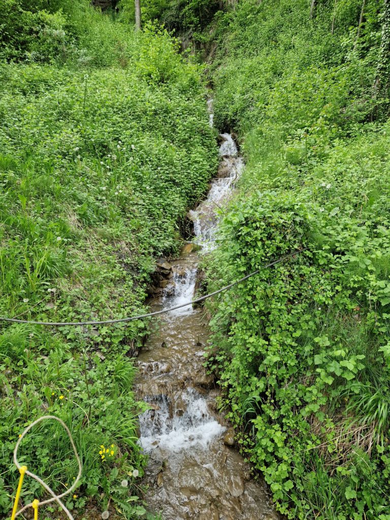 20230517_193150_resultat