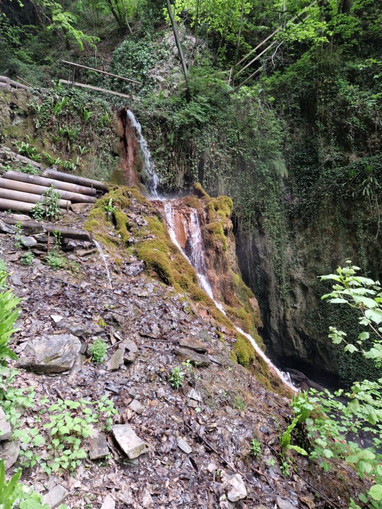 20230517_200919_resultat