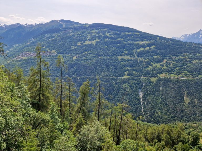 20230617_153550_resultat