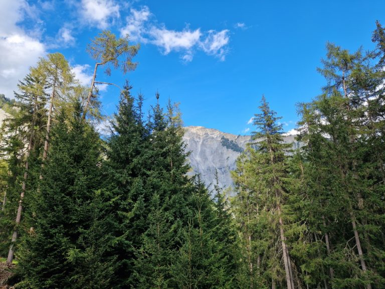 20230809_181210_resultat