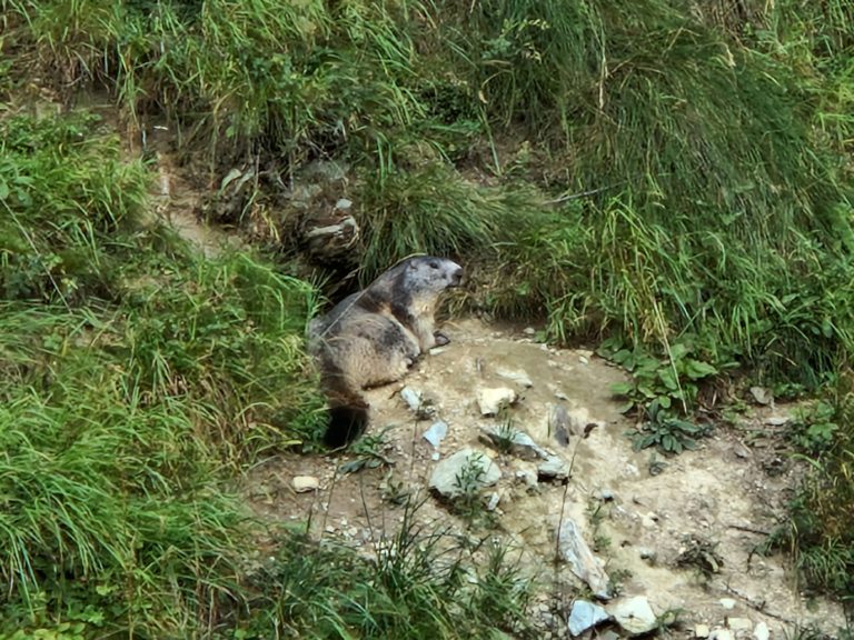 20230818_170249_resultat