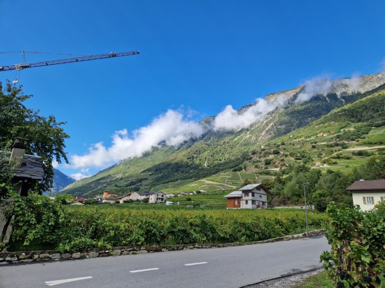 20230922_113030_resultat