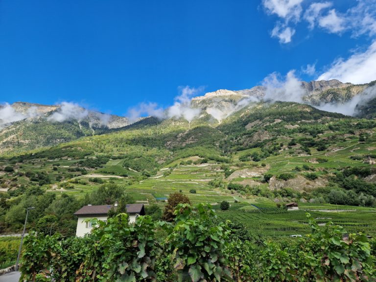 20230922_113042_resultat