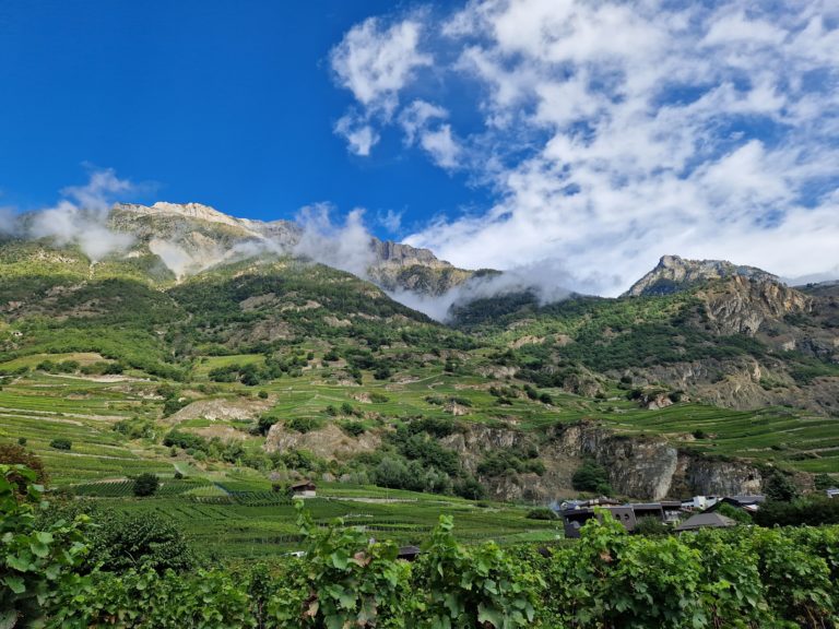 20230922_113045_resultat