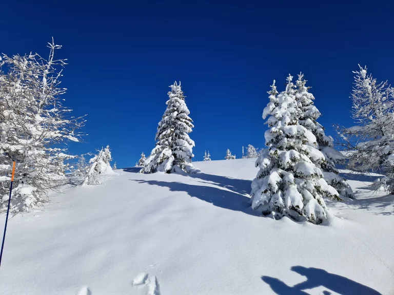 20240120_122104_resultat