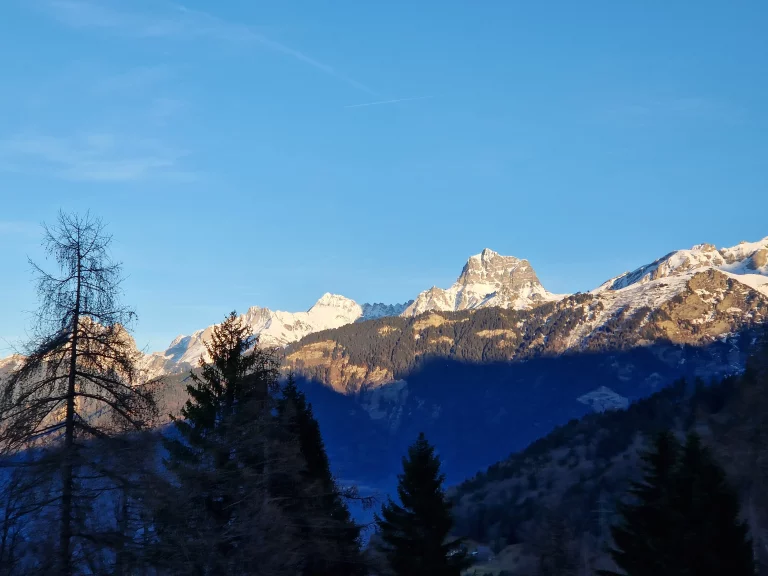 20240203_170841_resultat